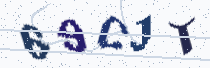 Security image showing five characters