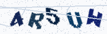 Security image showing five characters